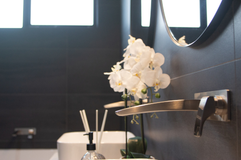 Bathroom sink with pot plant